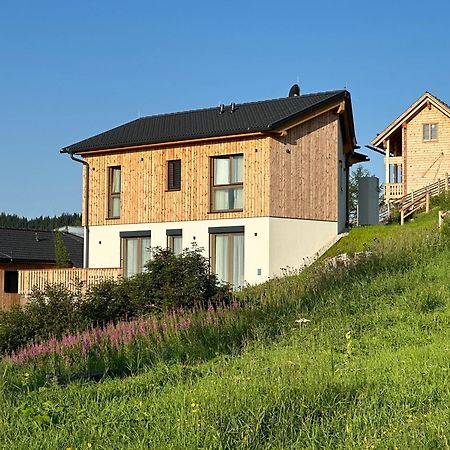 Berglisl - Direkt An Der Schipiste! Neue Ferienwohnung Mit Sauna Klippitztorl Eksteriør bilde