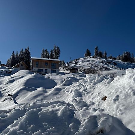 Berglisl - Direkt An Der Schipiste! Neue Ferienwohnung Mit Sauna Klippitztorl Eksteriør bilde